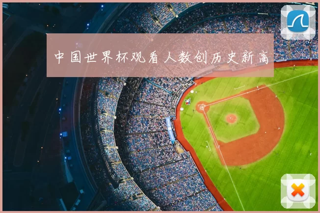 中国世界杯观看人数创历史新高