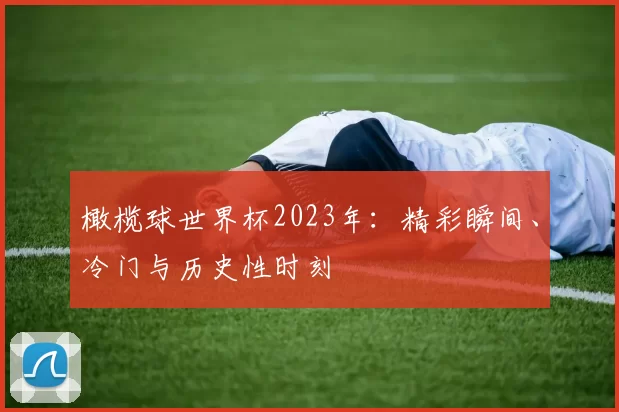 橄榄球世界杯2023年:精彩瞬间、冷门与历史性时刻