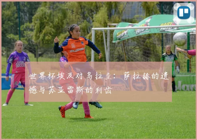 世界杯埃及对乌拉圭:萨拉赫的遗憾与苏亚雷斯的利齿