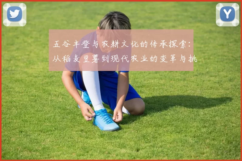 五谷丰登与农耕文化的传承探索：从稻麦豆薯到现代农业的变革与挑战