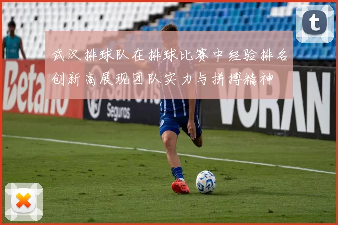 武汉排球队在排球比赛中经验排名创新高展现团队实力与拼搏精神