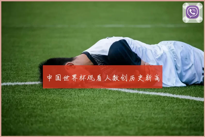 中国世界杯观看人数创历史新高