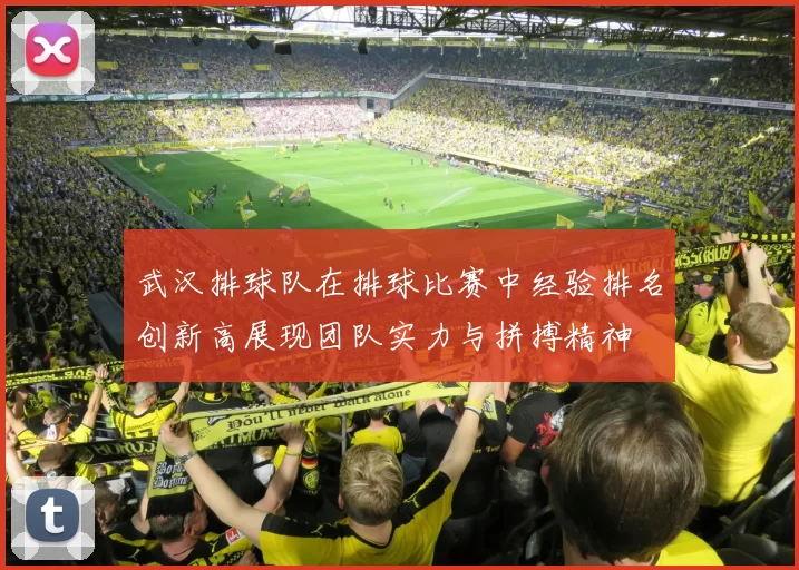 武汉排球队在排球比赛中经验排名创新高展现团队实力与拼搏精神