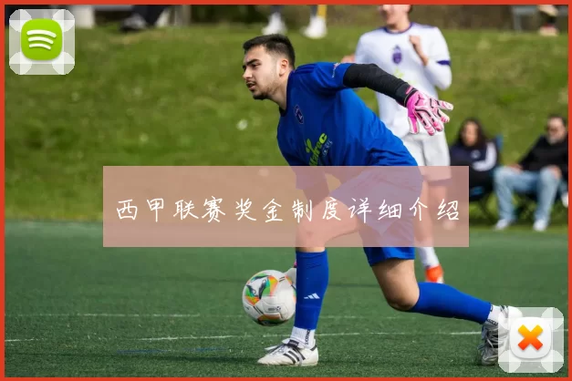西甲联赛奖金制度详细介绍
