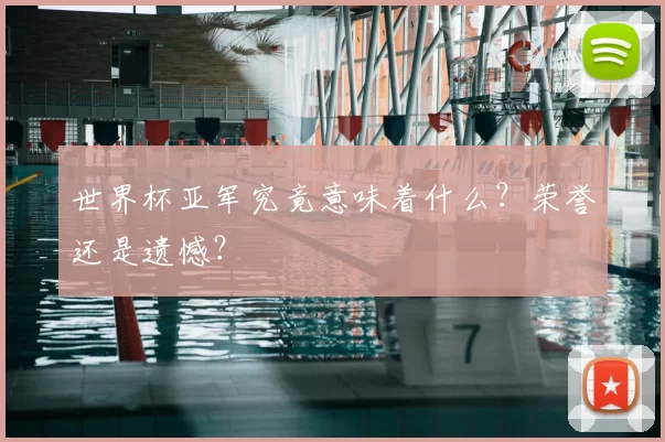 世界杯亚军究竟意味着什么?荣誉还是遗憾?