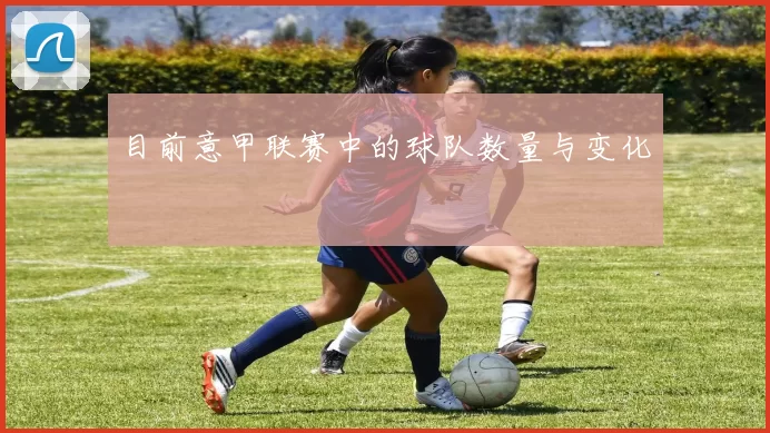 目前意甲联赛中的球队数量与变化