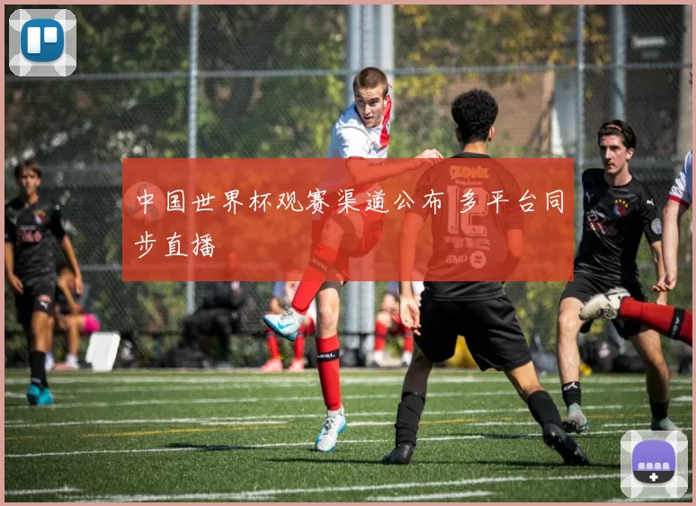 中国世界杯观赛渠道公布 多平台同步直播