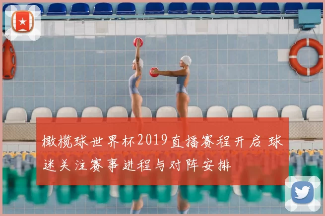 橄榄球世界杯2019直播赛程开启 球迷关注赛事进程与对阵安排