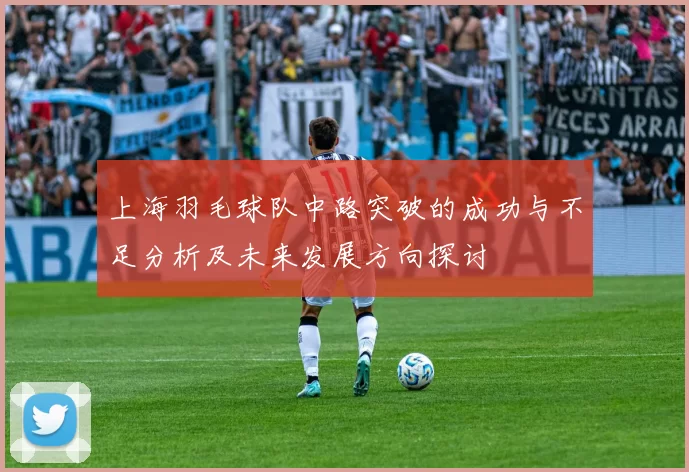 上海羽毛球队中路突破的成功与不足分析及未来发展方向探讨