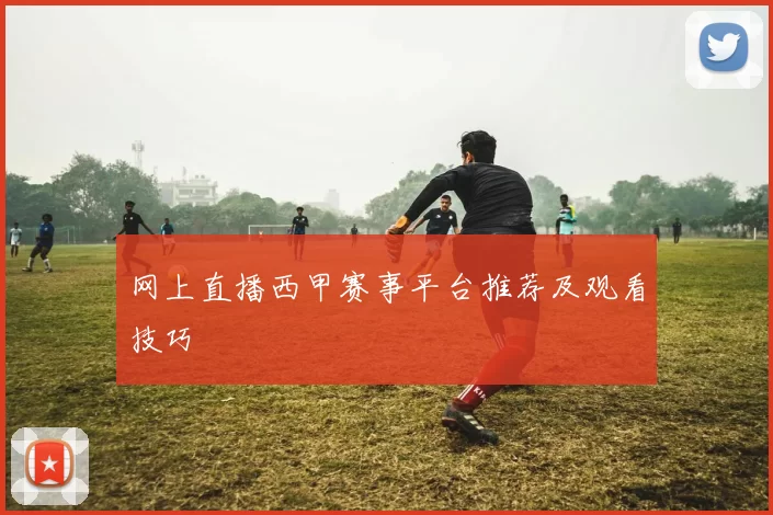 网上直播西甲赛事平台推荐及观看技巧