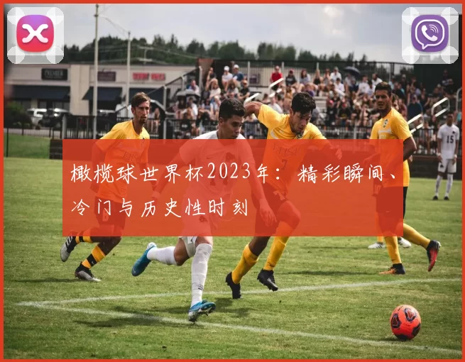 橄榄球世界杯2023年：精彩瞬间、冷门与历史性时刻