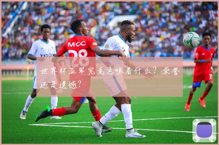 世界杯亚军究竟意味着什么?荣誉还是遗憾?